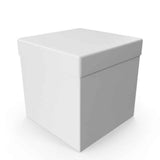 Add-On Protective Carrying Box Service