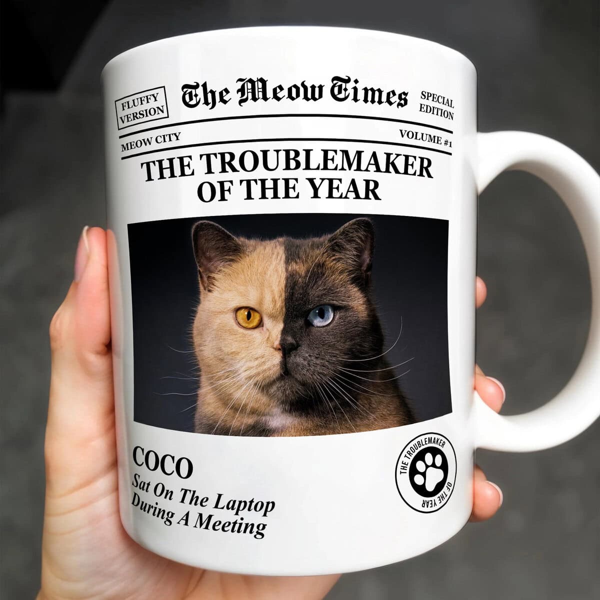 The Dog Times, The Meow Times, Troublemaker Of The Year Mug - Personalized Coffee Mug-Myprintsy