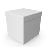 Add-On Protective Carrying Box Service